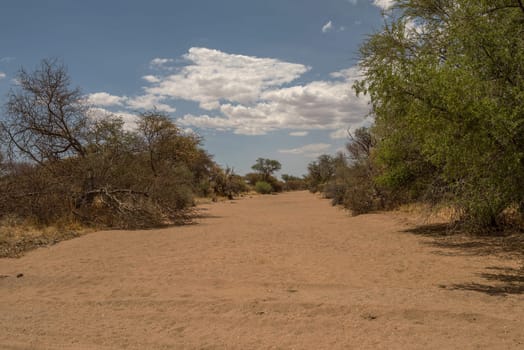 dry river in the south of Karibib, Erongo, Namibia