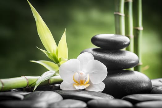 zen basalt stones ,orchid and bamboo