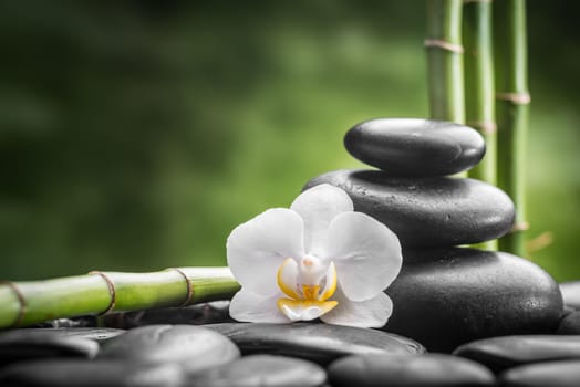 zen basalt stones ,orchid and bamboo