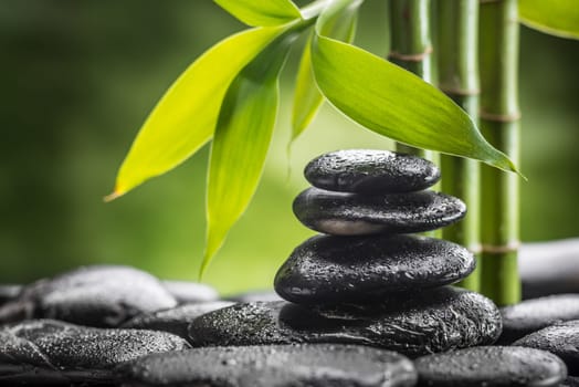 still life with zen basalt stones and bamboo
