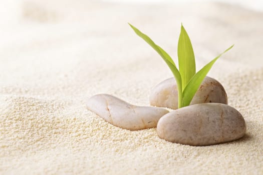 zen basalt stones and bamboo on the sand