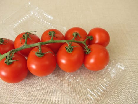 Tomatoes in a plastic package, plastic tray