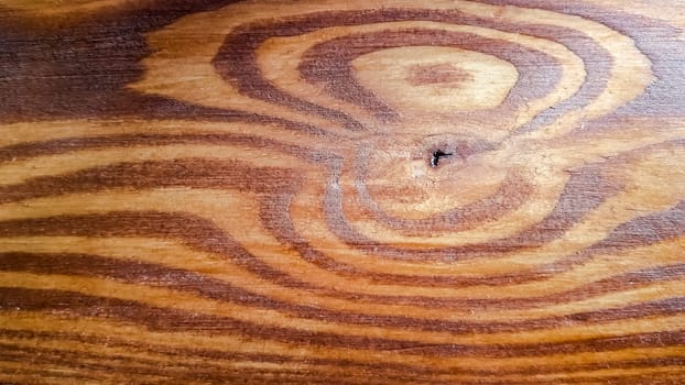 Walnut wood texture. Dark wood texture background surface with old natural pattern