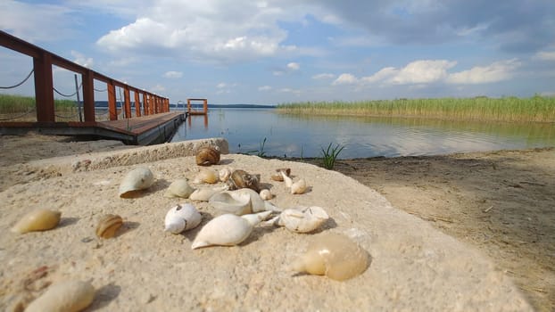 morning in masuria