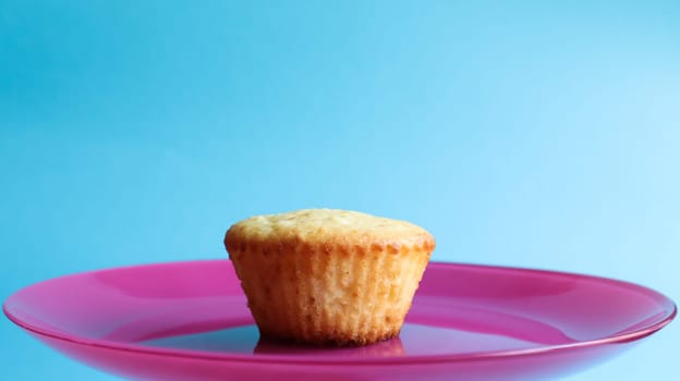 One curd cake without powder on a pink plate, on a blue background, side view. Copy space Dessert, small cupcake, freshly baked pie. Food concept. white baked cookies with an airy texture