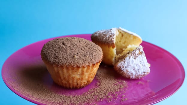 Two curd cakes sprinkled with chocolate and icing sugar on a pink plate, on a blue background. Dessert, a small cupcake. white baked cookies with an airy texture. Food concept.