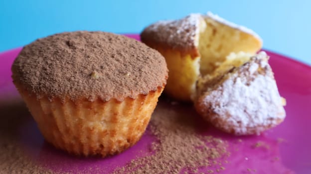 Two curd cakes sprinkled with chocolate and icing sugar on a pink plate, on a blue background. Dessert, a small cupcake. white baked cookies with an airy texture. Food concept.