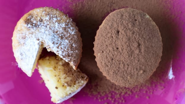 Two curd cakes sprinkled with chocolate and icing sugar on a pink plate, on a blue background. Dessert, a small cupcake. white baked cookies with an airy texture. Food concept. View from above