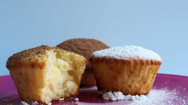 three curd cakes sprinkled with chocolate and icing sugar, one of them bitten, on a pink plate, on a blue background close-up. Dessert, a small cupcake. white baked cookies with an airy texture