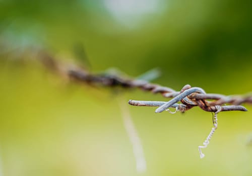 Selective focus barbed wire fence Rust wire fence stock image. Image of fence, danger, galvanized. Country fence.
