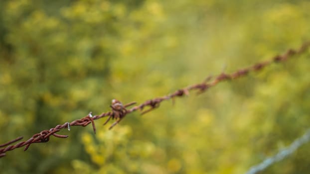 Selective focus barbed wire fence Rust wire fence stock image. Image of fence, danger, galvanized. Country fence.