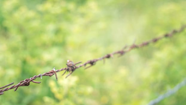 selective focus barbed wire fence Rust wire fence stock image. Image of fence, danger, galvanized. Country fence