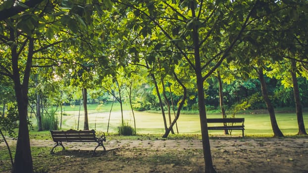 Background of city park in spring with trees, bushes and bench. island  and the lake