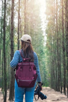 Young female woman lifestyle photographer travel taking photo in forest nature with backpack and copy space.
