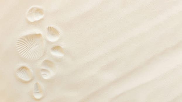 Travel flat lay, vacation concept. Sea shell print on sand and conch imprint. Travelling to warm countries, vacation trip. Copy space for different travel text. Banner with summer sand waves and sun