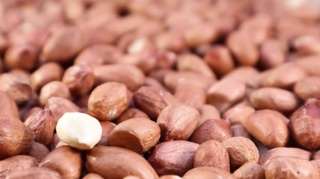 Heap of raw peanuts. Cultivated peanuts, underground or groundnuts. Plant of the legume family. Agricultural crop on an industrial scale. South America is considered the birthplace of peanuts