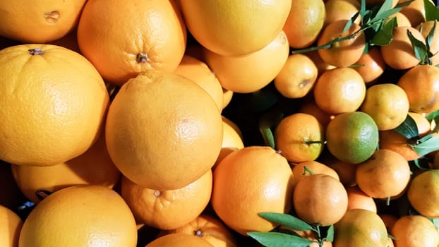 A lot of fresh yellow mandarin with green leaves in the market, fruits background. Art image with green leaves. Healthy eating concept. Can be used as a place for your text