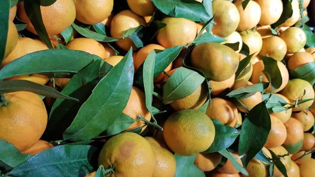 A lot of fresh yellow mandarin with green leaves in the market, fruits background. Art image with green leaves. Healthy eating concept. Can be used as a place for your text