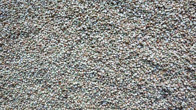 Background from raw organic green buckwheat porridge, vegan food. Texture of scattered buckwheat groats. Seeds are triangular in shape. Organic food. The concept of diet, weight loss, healthy eating