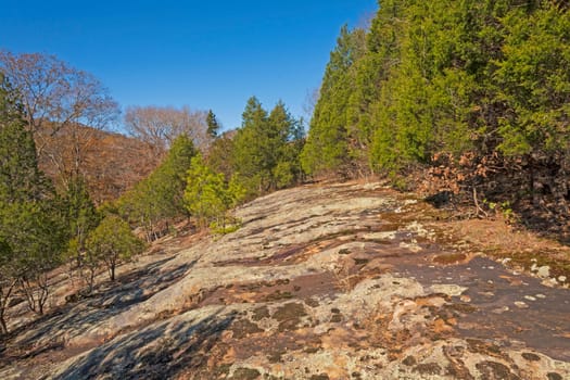 Bare Sandstone Ridge in Amogst the Trees in the Bell Smith Springs Scenic Area in Illinois