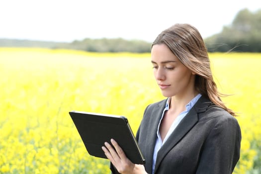 Businesswoman working with a tablet in a crop field