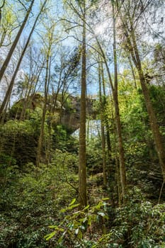 View of Grays Arch from below in Red River Gorge in Kentucky