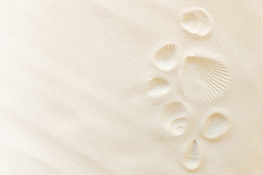 Travel flat lay, vacation concept. Sea shell print on sand and conch imprint. Travelling to warm countries, vacation trip. Copy space for different travel text. Banner with summer sand waves and sun