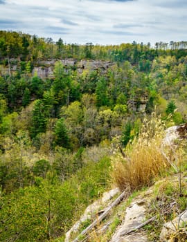Scenic view of Red River Gorge formations in Kentucky in spring
