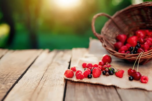 Overturned wicker basket with various berries on a piece of cloth on wooden terrace background in the blurred morning sun. Strawberry, raspberry, currant, blueberry, cherry, sweet cherries