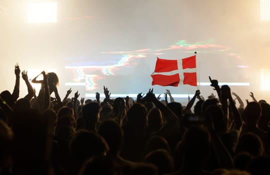 Football fans supporting Denmark - crowd celebrating in stadium with raised hands against Denmark flag