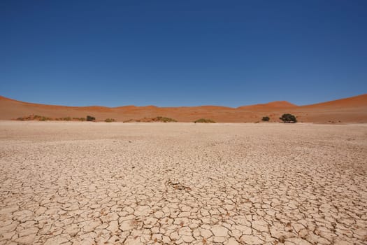 Sossusvlei salt pan with red dunes in background, Namibia