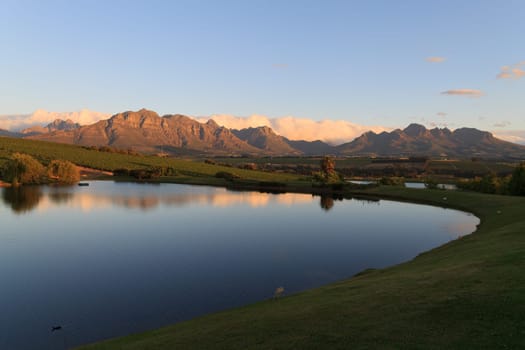 A Stellenboscsh panorama with tipical rows of vines, South Africa
