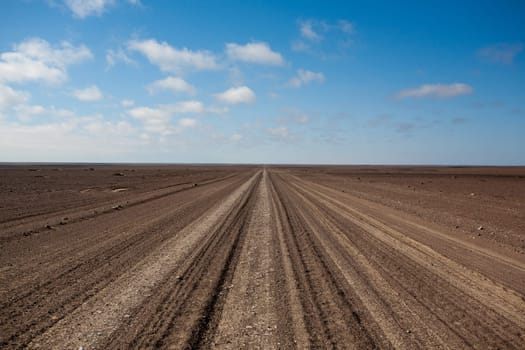 Salt road from Skeleton coast, Namibia