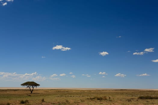 Panorama from Etosha National Park, Namibia