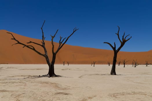 A view from Dead Vlei, Sossusvlei Namibia