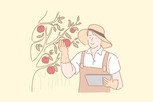 Gardener harvesting apples concept. Male farmer checking red ripe fruits, orchard worker, agronomist analyzing organic produce quality, agricultural industry seasonal work. Simple flat vector