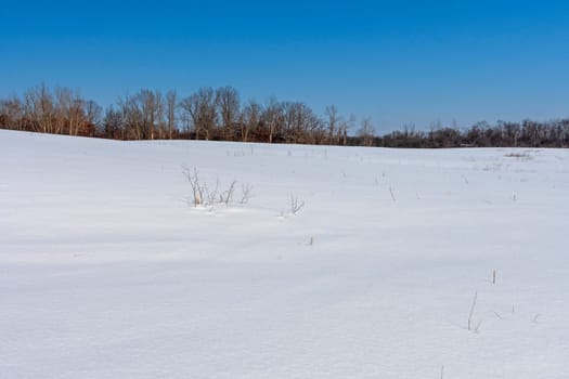 Unblemished Snow on a Open Field in the Crab Tree Nature Center in Illinois