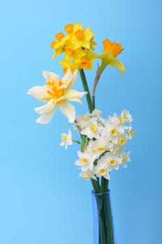 Bouquet of daffodils in a vase
