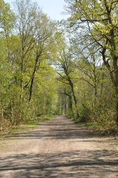 Communal forest of Saint-Pierre-Lès-Elbeuf
