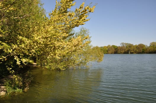 Banks of the Seine at Elbeuf in Normandy