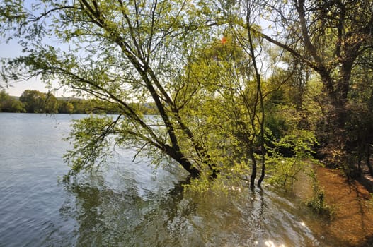 Banks of the Seine at Elbeuf in Normandy