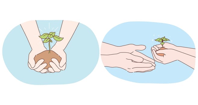 Ecology, environment protection and gardening concept. Human hands holding piece of ground with little green sprout in it and handing over to next generations as symbol of new life and ecosystem