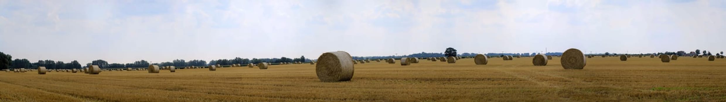 Round rolls of straw lie around on a harvested grain field.