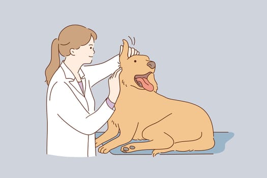 Veterinarian doctor during work concept. Young kind smiling woman veterinarian in white uniform working at office examining ears dog vector illustration