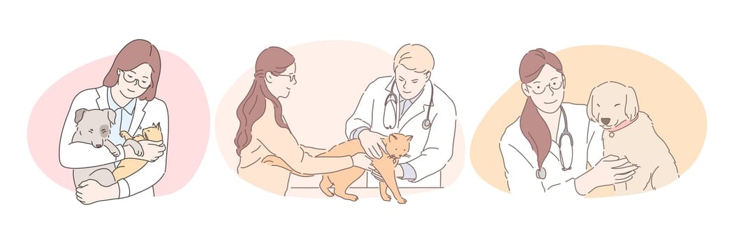 Professional veterinarian with pets during work concept. Young confident man and women doctors veterinarians in white uniform examining and curing dogs and cats in medical clinic offices
