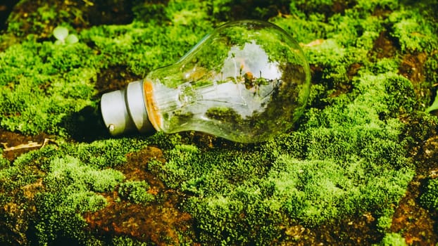A fluorescent light bulb in sunlight on green nature background. Green business, economy, eco-industries start up ideas innovation background . Go Green to minimize human impact on environment concept