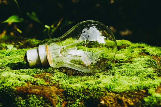 A fluorescent light bulb in sunlight on green nature background. Green business, economy, eco-industries start up ideas innovation background . Go Green to minimize human impact on environment concept
