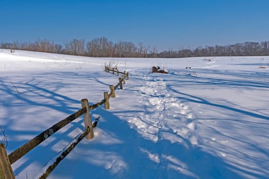 Rustic Fence Along a Snowy Trail in the Crabtree Nature Center in Illinois