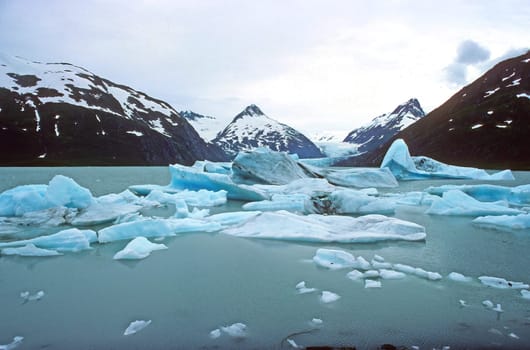 Icebergs in a Glacial Lake at the Portage Glacier in Alaska