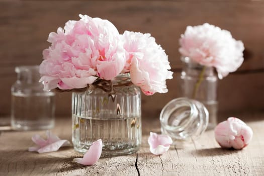 beautiful pink peony flowers bouquet in vase